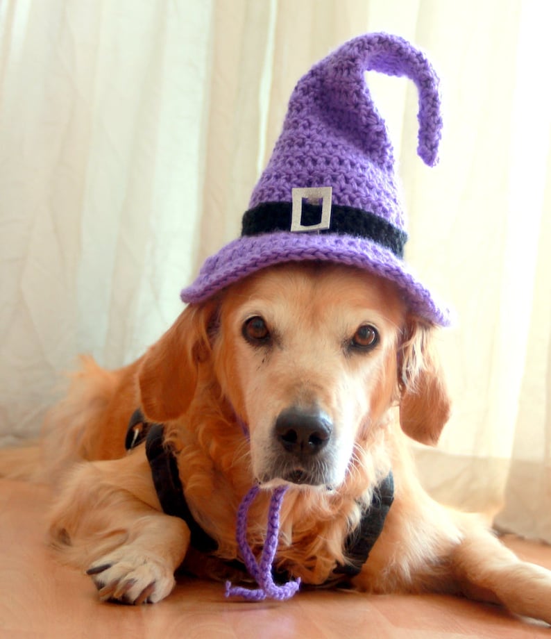 Crochet Pattern: Witch Hat for Large Dogs, Crochet Witch Pet Costume Hat, Witch Dog Hat PDF Pattern for Digital Download image 8