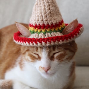 Katze Sombrero Häkelanleitung, Häkelanleitung für Haustier Größe Sombrero Hut mit Ohrlöchern, Cinco De Mayo Häkelanleitung für Haustiere Bild 5