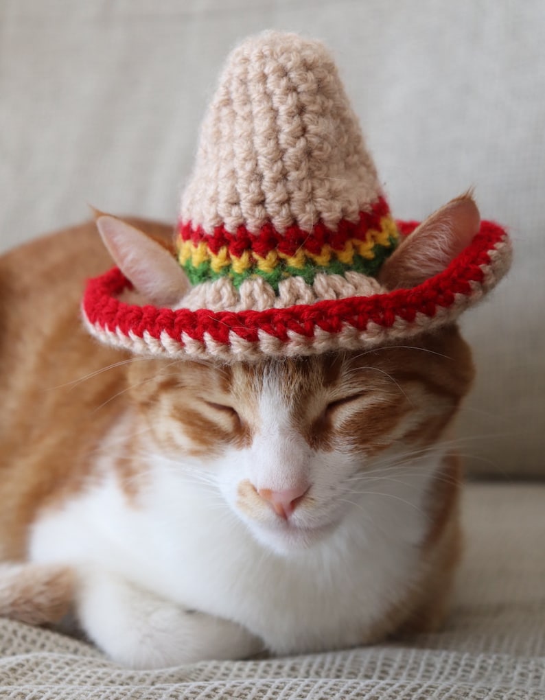 Cat Sombrero Crochet Pattern, Crochet Instructions for Pet Size Sombrero Hat with Ear Holes, Cinco De Mayo Crochet Pattern for Pets image 5