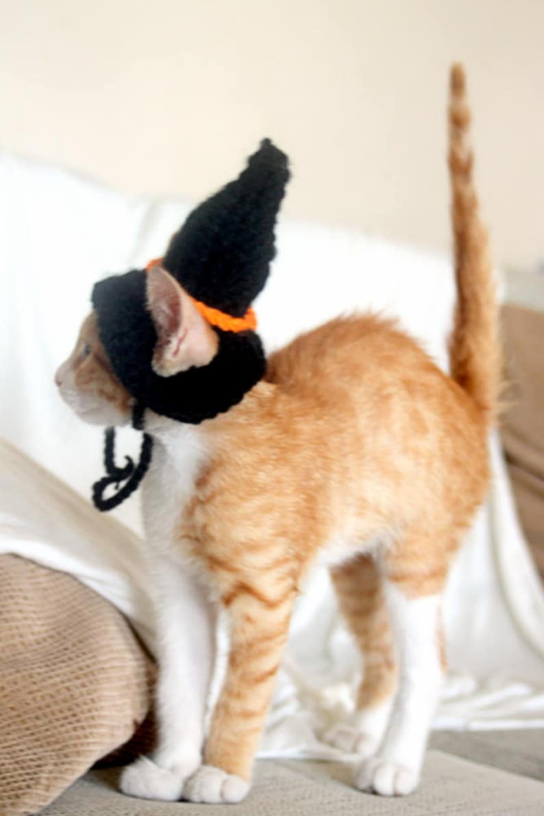 Cat Halloween Hat
 Witch Cat Hat Witch Hat for Cats Halloween Cat Costume Etsy