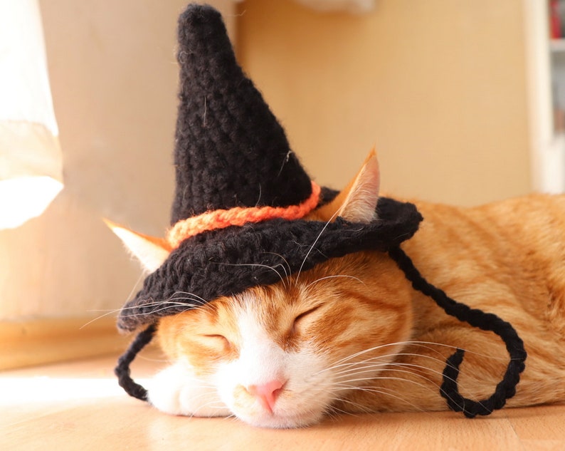 Crochet Pattern: Witch hat for cats, PDF instructions for cat witch hat costume with chin straps / ear holes, crochet halloween idea of cats image 5