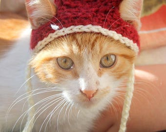 Modèle de chapeau de chat au crochet, modèle de crochet amical débutant  pour les chats, modèle de crochet de bonnet de chat, accessoire de chat de  crochet de modèle téléchargeable 