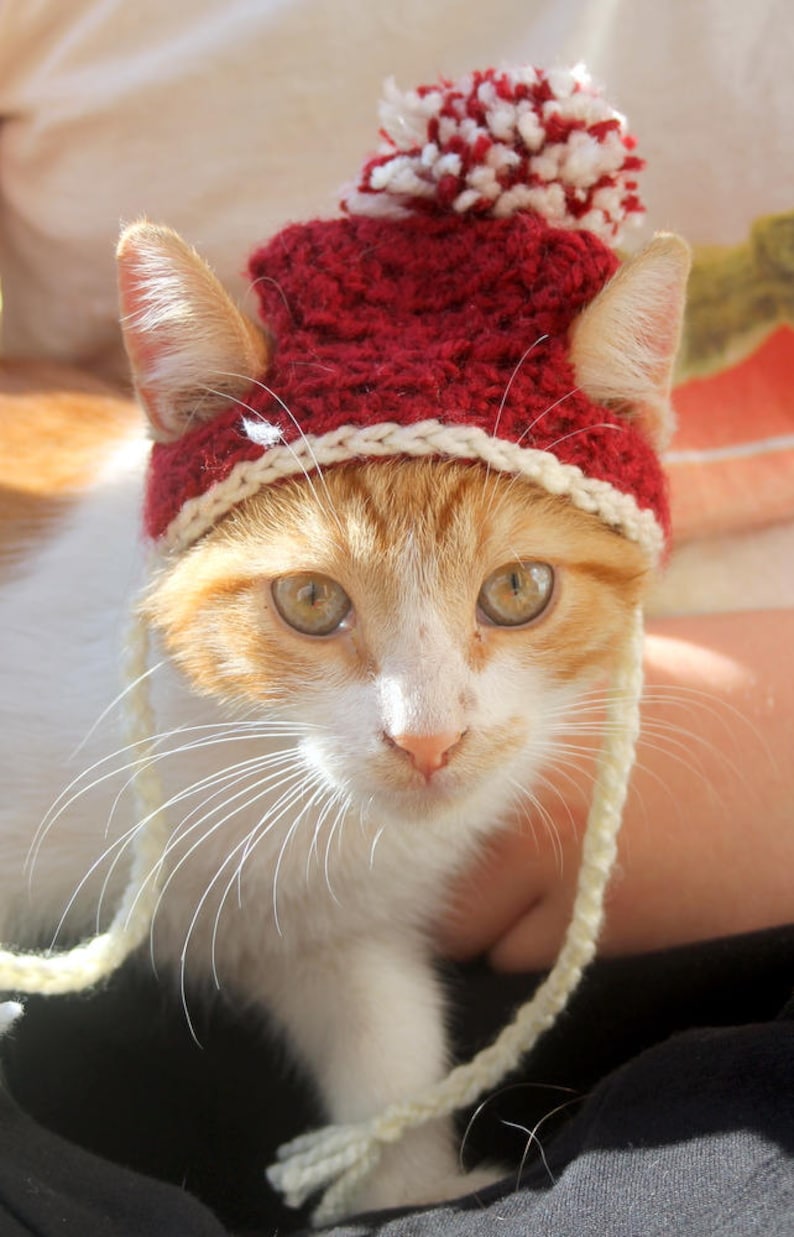 Crochet Cat Hat Pattern, Beginner Friendly Crochet Pattern for Cats, Cat Beanie Crochet Pattern, Downloadable Pattern Crochet Cat Accessory image 7