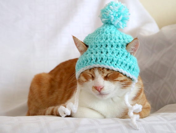 Cappello per gatti, berretto per gatti e gattini, cappello con pom pom per  gatti maschi, cappello da slittino per gatti ragazzi, berretto per gatti  Aqua, accessori felini -  Italia