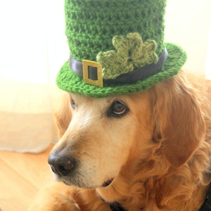 St. Patrick's Day Dog Hat, Leprechaun Hat for Dogs, Leprechaun Dog Costume, St. Patrick's Day Dog Costume, Bearded Dog Hat, image 8