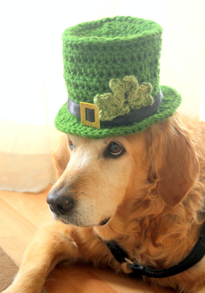 St. Patrick's Day Dog Hat, Leprechaun Hat for Dogs, Leprechaun Dog Costume, St. Patrick's Day Dog Costume, Bearded Dog Hat, image 8