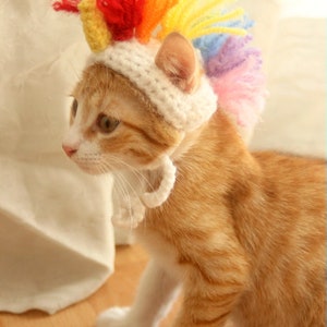 May include: A ginger cat wearing a white crocheted unicorn hat with a rainbow mane. The hat has a yellow horn.