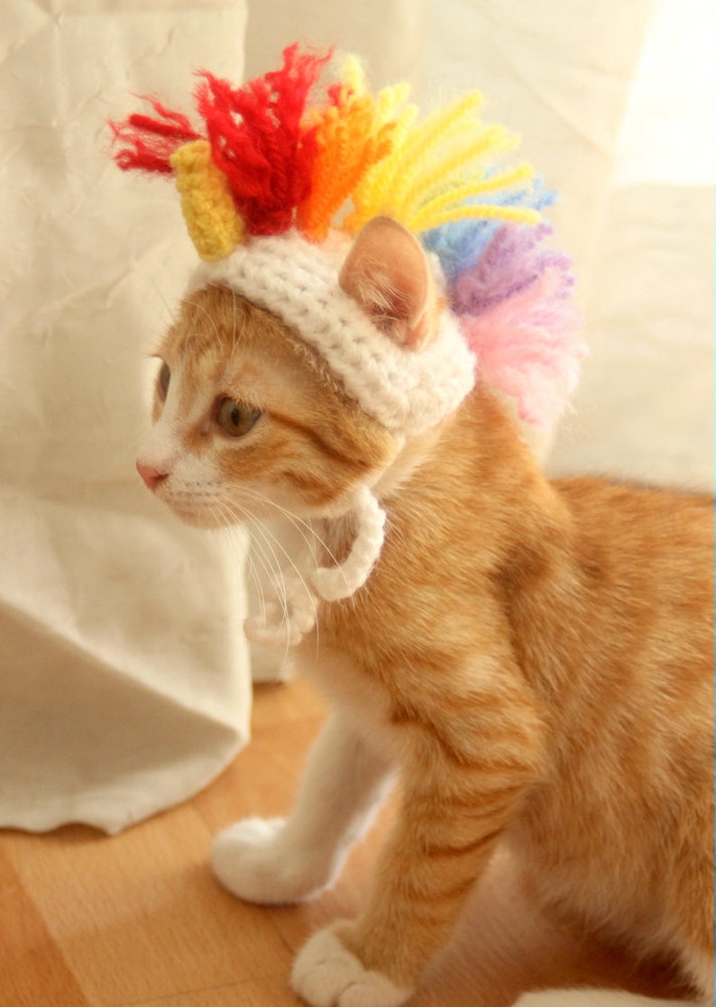May include: A ginger cat wearing a white crocheted unicorn hat with a rainbow mane. The hat has a yellow horn.