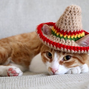 Katze Sombrero Häkelanleitung, Häkelanleitung für Haustier Größe Sombrero Hut mit Ohrlöchern, Cinco De Mayo Häkelanleitung für Haustiere Bild 9