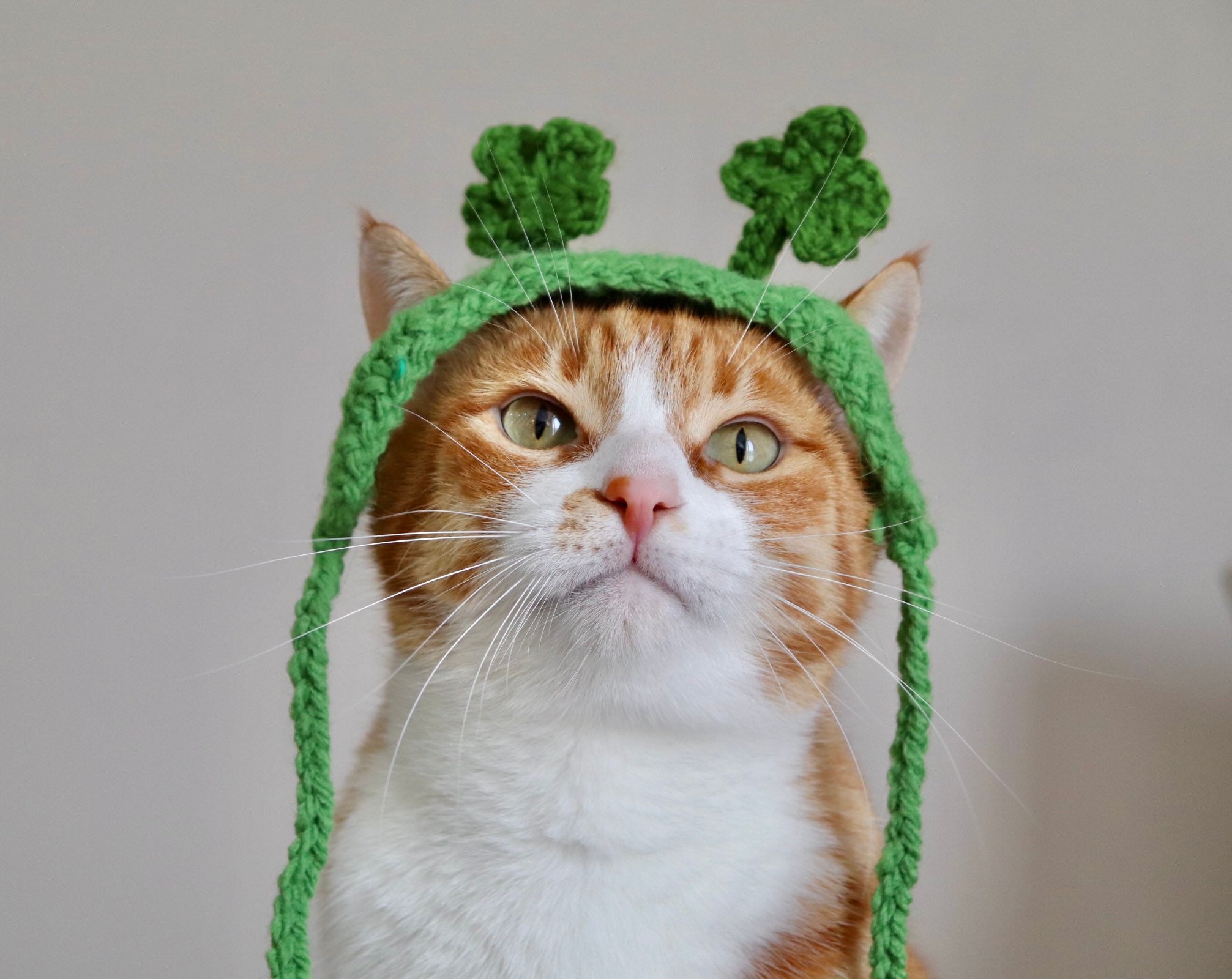 Shamrock ★ Cat　オーダー Shamrock Headband for Cats, St. Patrick's Day Cat Accessories, Cat
