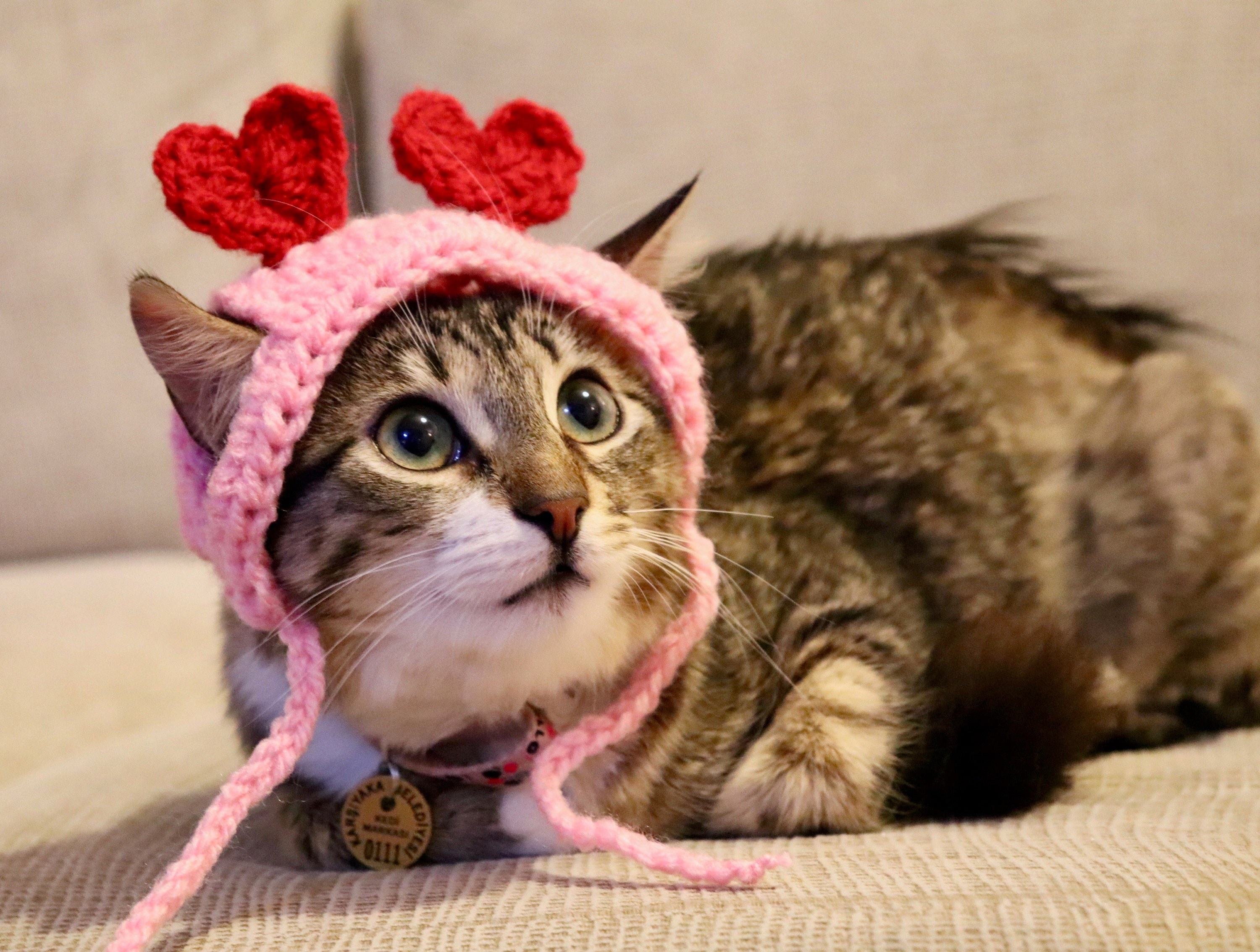 Heart Headband for Cats, Valentine display picture 1
