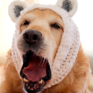 Modèle au crochet : snood pour chien ours, instructions PDF pour snood pour chien au crochet avec oreilles d'ours, accessoire/costume au crochet pour grands chiens image 5