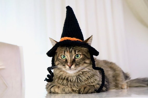 Witch Cat Hat, Witch Hat for Cats, Halloween Cat Costume