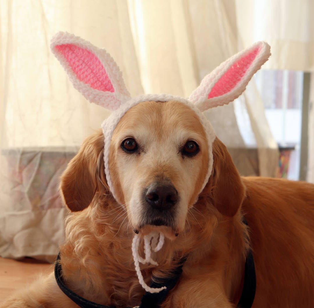 Easter Bunny Ears for Large Dogs, Custom Color Rabbit Ear Headband for