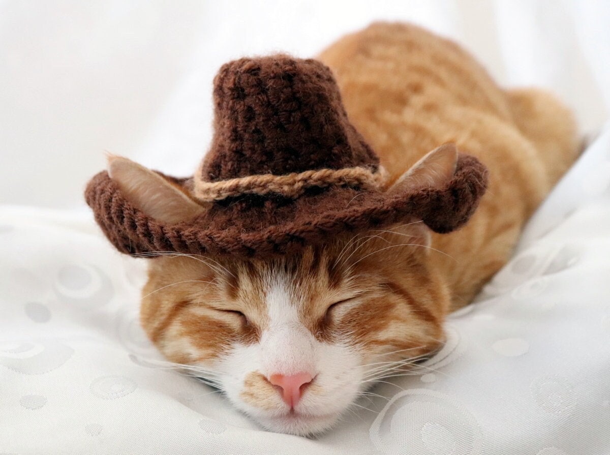 Straw Sombrero Cat Hat - Pet Costume Center