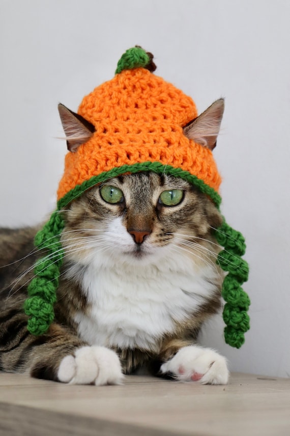 Pumpkin Cat Hat Thanksgiving Cat Hat 