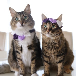 Heart Headband for Cats, Valentine's Day Cat Accessories, Cat Photo Prop for Valentines Day, Cute Cat Accessories, Cat Valentines Apparel immagine 9