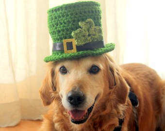 Dog Hat Leprechaun Hat for Dogs 