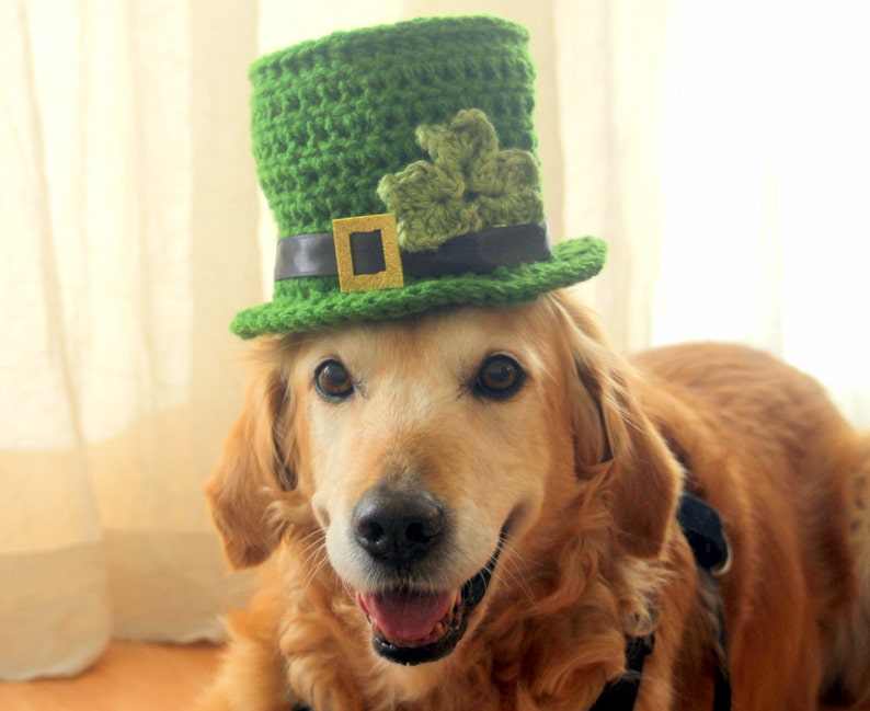 St. Patrick's Day Dog Hat, Leprechaun Hat for Dogs, Leprechaun Dog Costume, St. Patrick's Day Dog Costume, Bearded Dog Hat, image 5