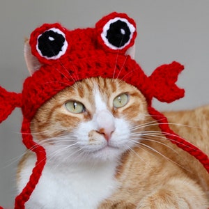 Crab Hat for Cats, Funny Feline Crab Accessory / Costume, Crab Hat with Ear Holes for Small Pets, Crab Cat Hat / Small Dog Hat