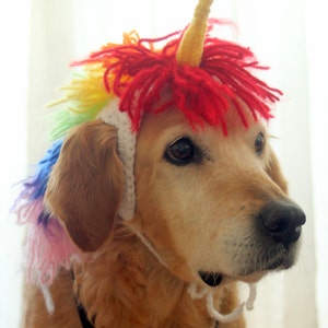 Unicorn Costume for Dogs, Unicorn Mane and Horn for Large Breed Dogs, Halloween Costumes for Pets, Unicorn Dog Hat, Funny Dog Accessories image 3