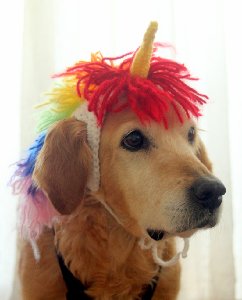 Unicorn Costume for Dogs, Unicorn Mane and Horn for Large Breed Dogs, Halloween Costumes for Pets, Unicorn Dog Hat, Funny Dog Accessories image 3