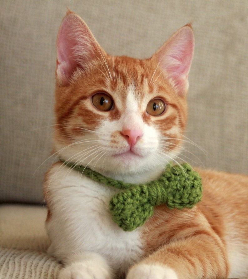 CROCHET PATTERN Cat Bow Tie Beginner Friendly Crochet Cat Etsy