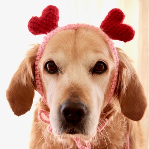 Valentines Day Hearts for Dogs, Heart Headband / Hat for Large Dogs, Valentines Day Heart Headband Accessory / Photo Prop for Pets