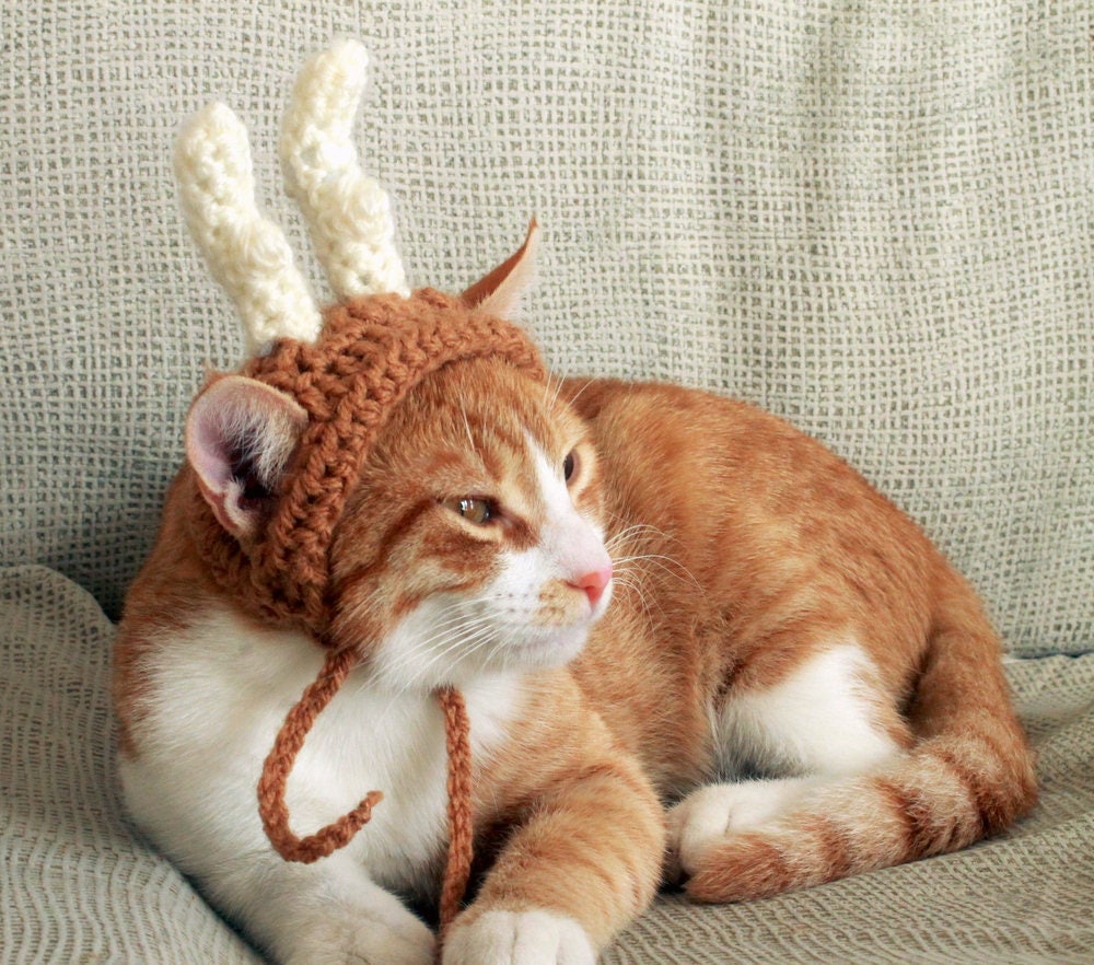 Reindeer Cat Hat Cat Reindeer Antlers Reindeer Horns for Cats Christmas Costume for Small Dogs Christmas Cat Costume Cute Pet Costume Etsy Canada