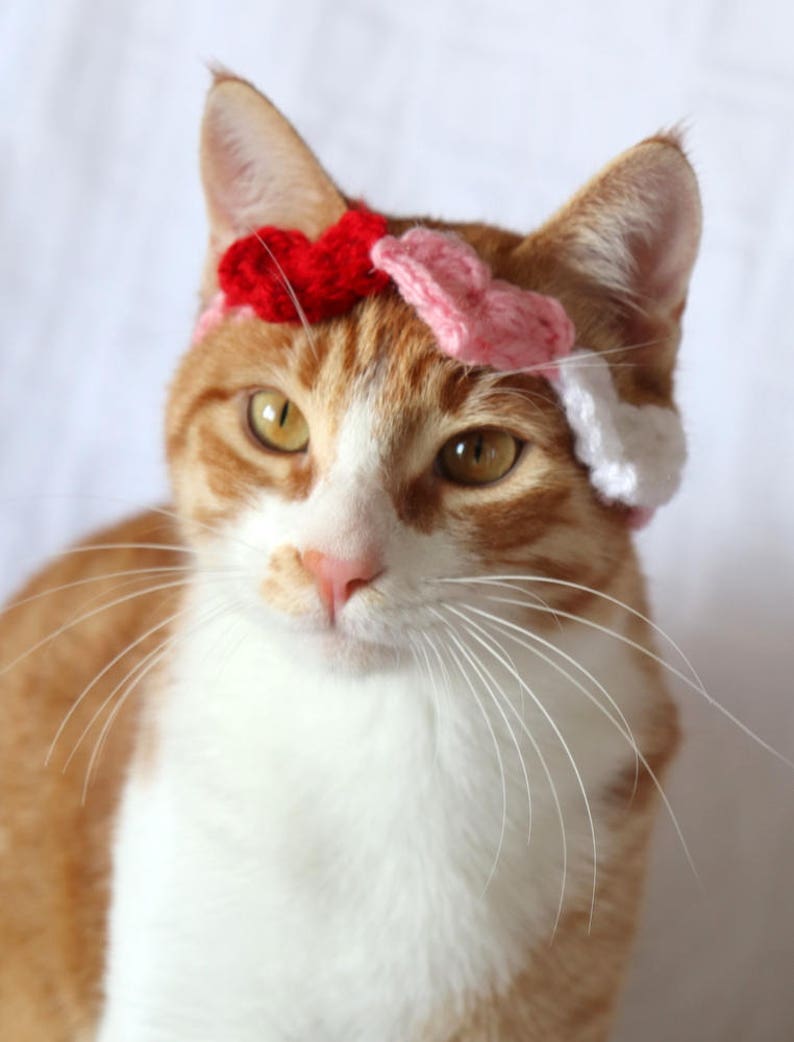 Heart Headband for Cats, Valentine's Day Cat Accessories, Cat Photo Prop for Valentines Day, Cute Cat Accessories, Cat Valentines Apparel Red, Pink, White