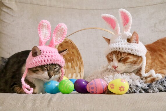 Crochet Pattern: Easter Bunny Ear Hat 