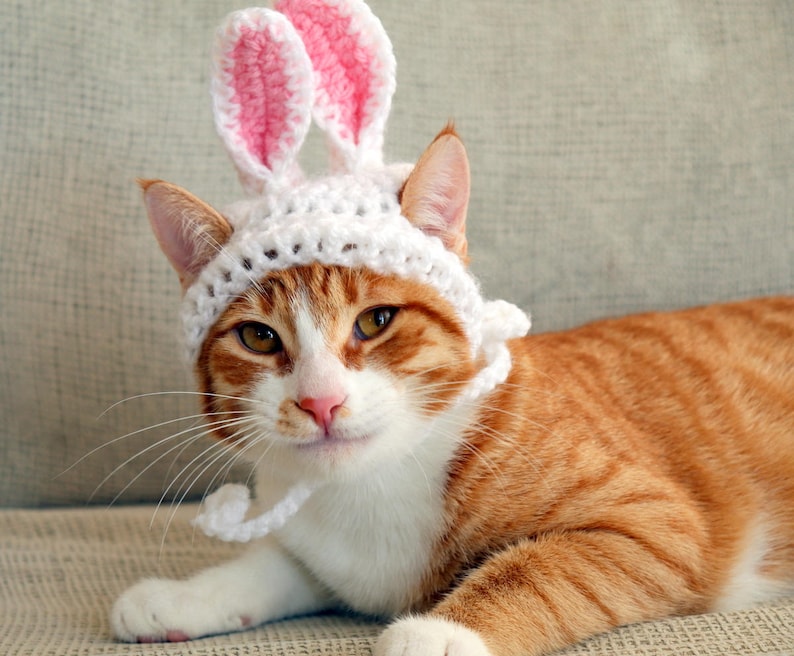 Bunny Ears for Cats, Easter Bunny Costume for Cats, Easter Rabbit Ears ...