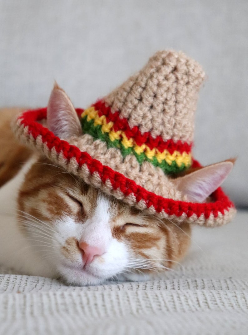 Katze Sombrero Häkelanleitung, Häkelanleitung für Haustier Größe Sombrero Hut mit Ohrlöchern, Cinco De Mayo Häkelanleitung für Haustiere Bild 6