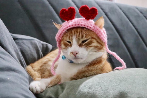 Heart Headband for Cats, Valentine's Day Cat Accessories, Cat