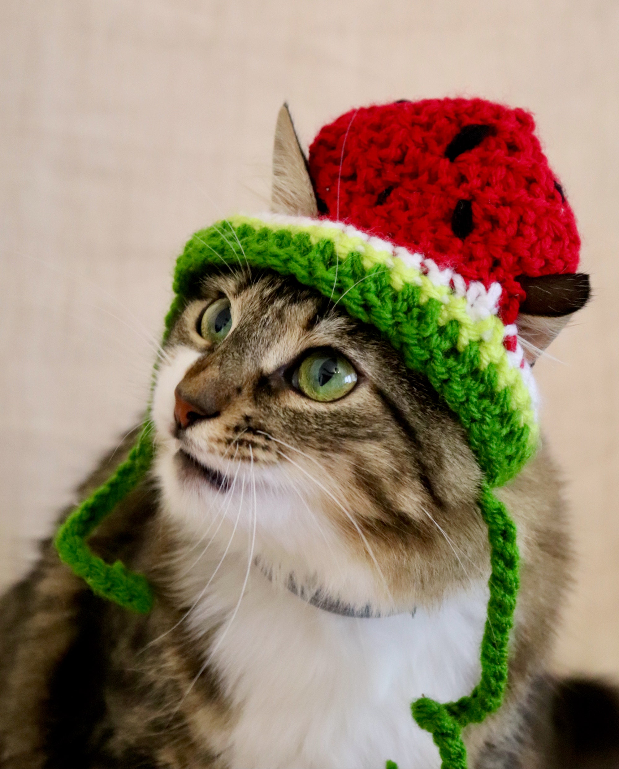 Watermelon Hat for Cats Crochet Watermelon Hat for Cats and Etsy