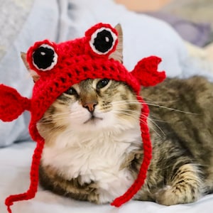 Crab Hat for Cats, Funny Feline Crab Accessory / Costume, Crab Hat With