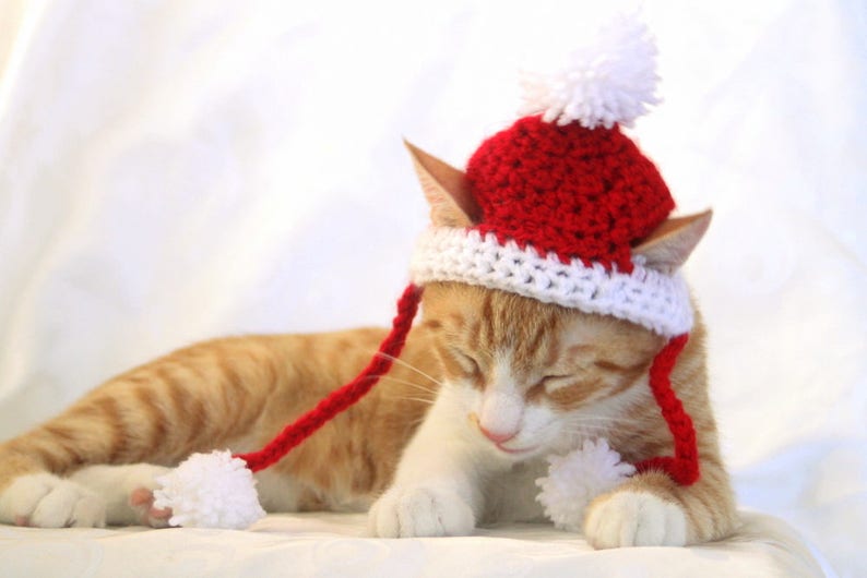 Santa Cat Hat Crochet Pattern, Fun and Festive Christmas Crochet Pattern for Cats and Kittens, Quick and Beginner Friendly image 8