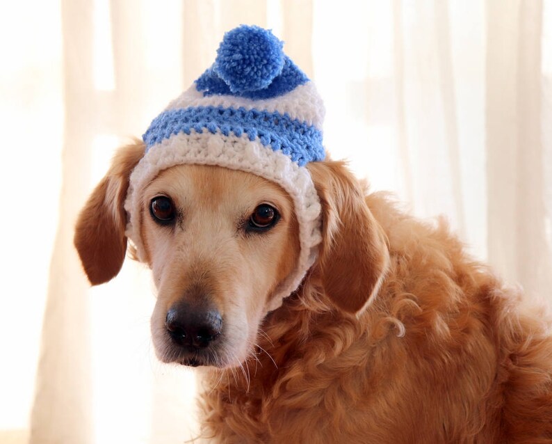 Dog Hat Dog Beanie Winter Hat for Dogs Large Breed Dog Hat Etsy