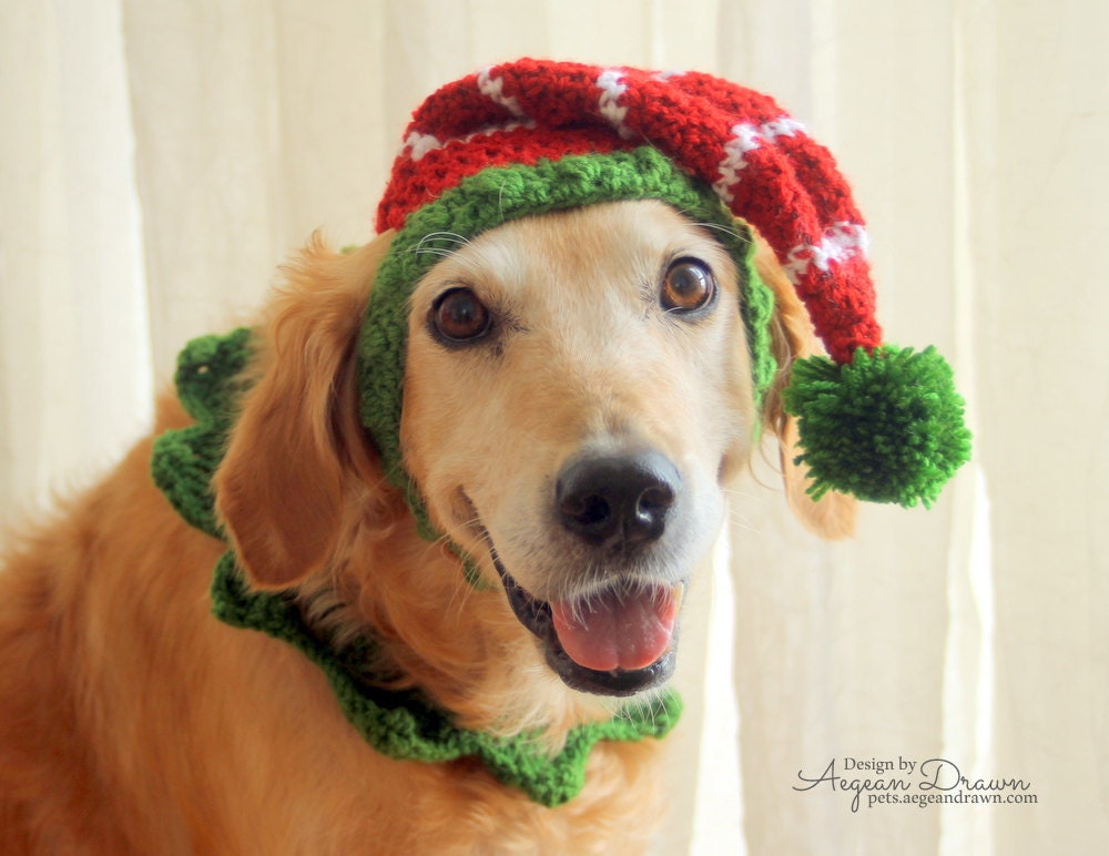 Elf Hat for Dogs Dog Elf Hat Holiday Dog Hat Christmas Hat | Etsy
