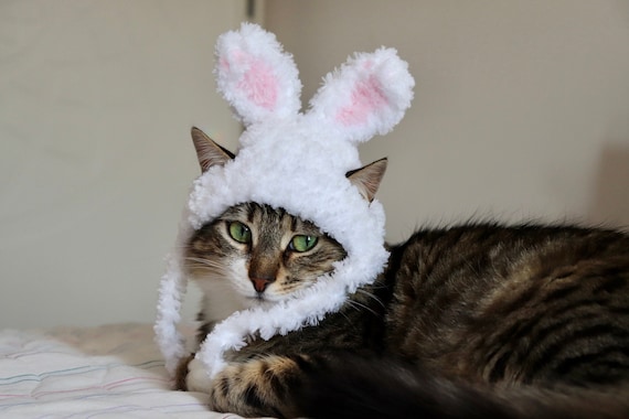 Fuzzy Bunny Hat