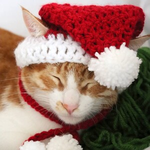 Santa Hat for Cats, Cat Santa Hat, Holiday Cat Hat, Christmas Hat for Cats and Kittens, Christmas Cat Hat, Santa Cat Hat image 4