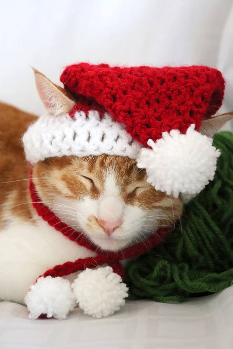 Santa Hat for Cats, Cat Santa Hat, Holiday Cat Hat, Christmas Hat for Cats and Kittens, Christmas Cat Hat, Santa Cat Hat image 4