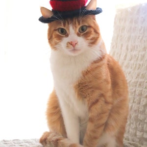 Crochet Pattern: Top Hat for Cats, Crochet Top Hat Pattern with Ear Holes for Cats / XS Dog Breeds, New Years Crochet Pattern for Pets image 6