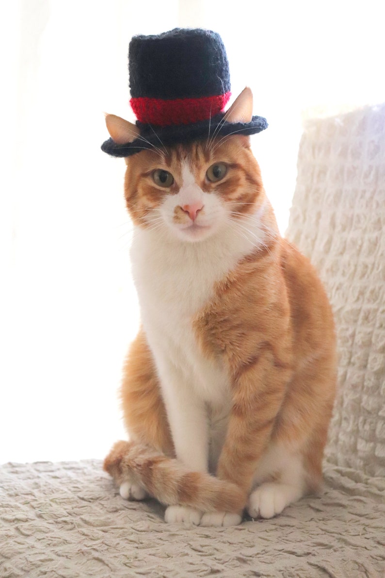 Crochet Pattern Top Hat for Cats Crochet Top Hat Pattern Etsy Canada