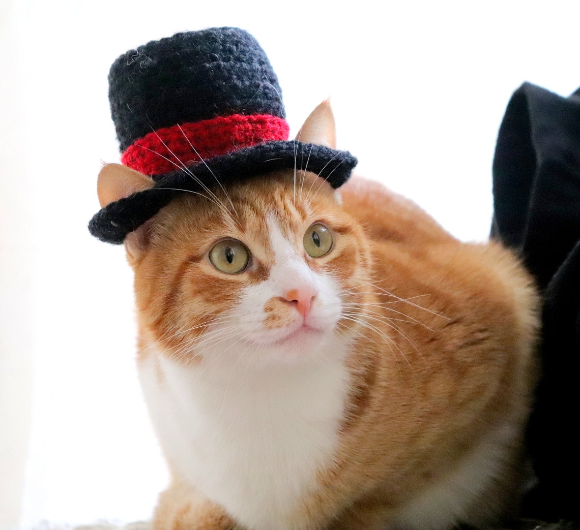 Top Hat for Cats Cat Wedding Apparel Cat Formal Wear Feline Etsy