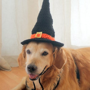 Crochet Pattern: Witch Hat for Large Dogs, Crochet Witch Pet Costume Hat, Witch Dog Hat PDF Pattern for Digital Download image 7