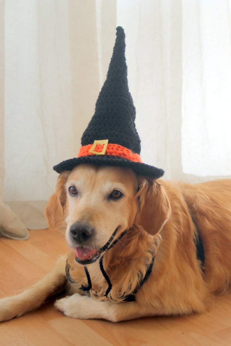 Crochet Pattern: Witch Hat for Large Dogs, Crochet Witch Pet Costume Hat, Witch Dog Hat PDF Pattern for Digital Download zdjęcie 7