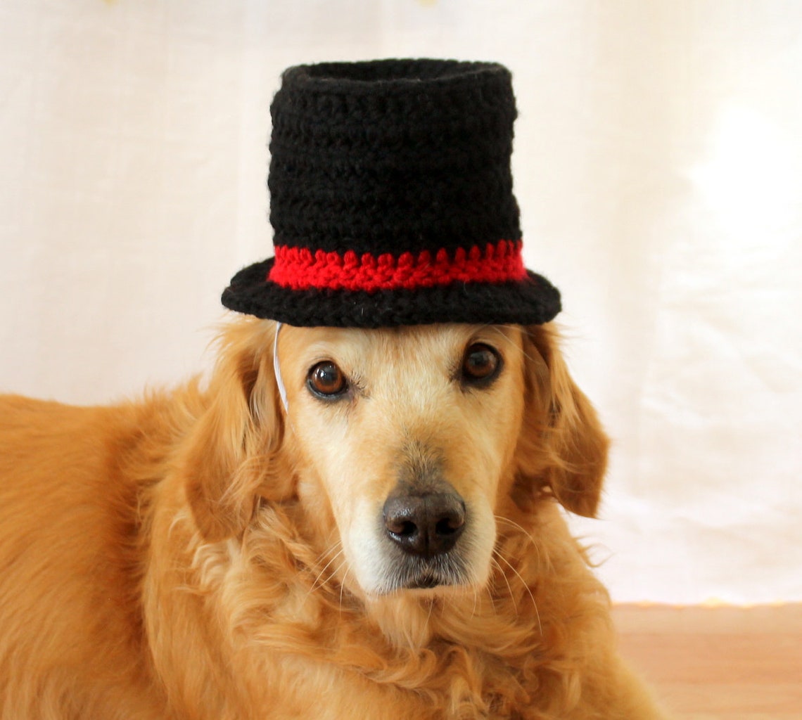 Top Hat for Dogs with Optional Bow Tie Add On Custom Colors Etsy