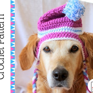 Padrão de chapéu de cachorro de crochê, padrão de gorro de crochê para cães grandes, padrão de crochê de gorro de cachorro, acessório de cachorro de crochê padrão para download