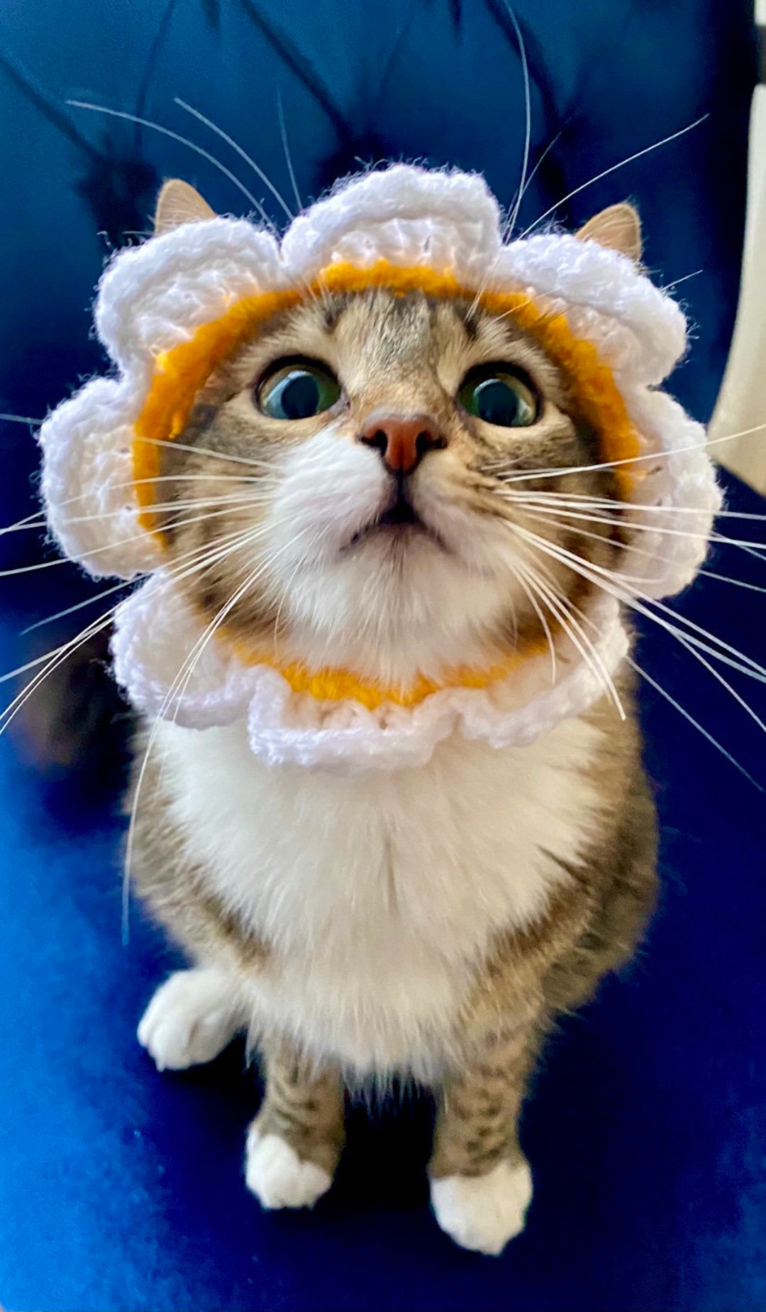 pretty-bee592: Cute cat wearing nursing hat, surrounded by flowers